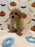 MILO (Bichon Poodle)