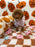PEARL (Mini Poodle)