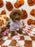 PEARL (Mini Poodle)
