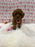 Bella (Red Toy Poodle)