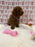 Baby (Red Toy Poodle)