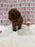 Baby (Red Toy Poodle)