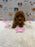 SASHA (Mini Poodle)