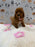 SASHA (Mini Poodle)