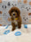 SOCKS (Mini Poodle)