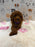 SANDY (Mini Poodle)