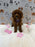SANDY (Mini Poodle)