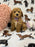 Jayla (Toy/Mini Bichon Poodle)