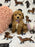 Jayla (Toy/Mini Bichon Poodle)