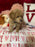 Lance (Toy Poodle)
