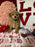 Lance (Toy Poodle)