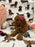 Lucy (F2 Labradoodle )