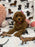 Lucy (F2 Labradoodle )