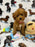 MIKI (Toy Poodle)