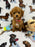 MIKI (Toy Poodle)