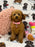 MILA (Toy Poodle)