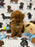 Jade (caniche toy)