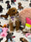 MINA  (Toy Poodle)