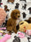 MOCHA (Toy Poodle)
