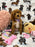MOCHA (Toy Poodle)