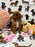 MOCHA (Toy Poodle)