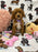 MOCHA (Toy Poodle)