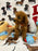 MONTY (Toy Poodle)