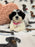 Olivia (Shichon Teddy Bear)