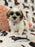 Ora (Shichon Teddy Bear)