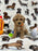 Perry (Toy Bichon Poodle)