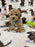 Pix (Toy Bichon Poodle)