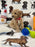 Pluto (Toy Bichon Poodle)