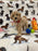 Pluto (Toy Bichon Poodle)