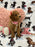 Sammy (Toy/Mini Poodle)