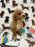 Jade (caniche toy)