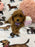 Stella (Toy/Mini Poodle)