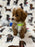 Striker (Toy/Mini Poodle)