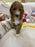 Socks (Standard-Poodle)