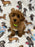 TAZ (Toy Poodle)
