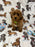 TAZ (Toy Poodle)