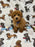 THEO (Bichon Poodle)