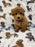 THEO (Bichon Poodle)
