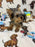 TITAN (Teacup Yorkie)