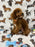 TUCKER (Toy/Mini Poodle)