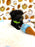 TEDDY (Teacup YorkiePoo)