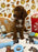 BENNY (Red AKC Mini Poodle)