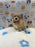 MYKE (Bichon-Poodle)