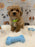 MELVIN (Bichon-Poodle)