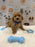 MARVIN (Bichon-Poodle)