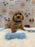 MARVIN (Bichon-Poodle)